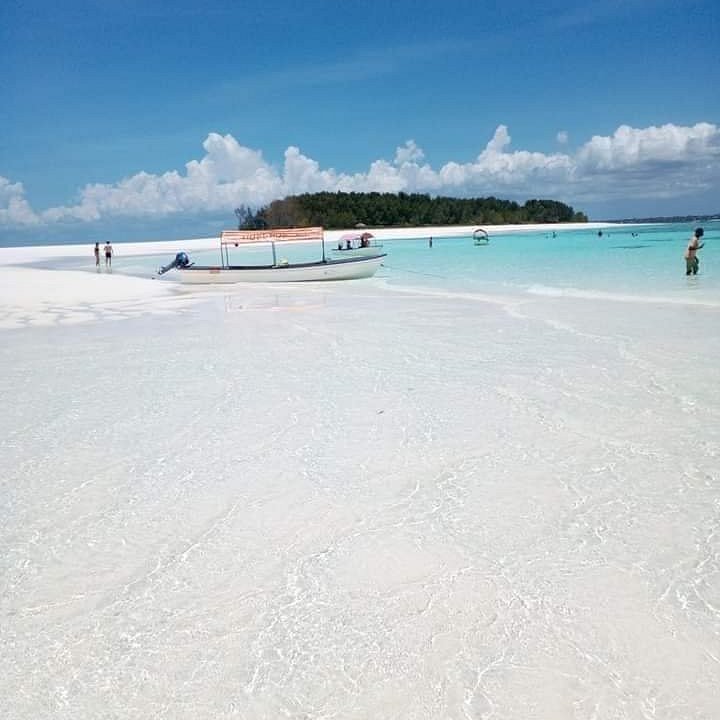 Mnemba Atoll Snorkeling & Dolphin Tour