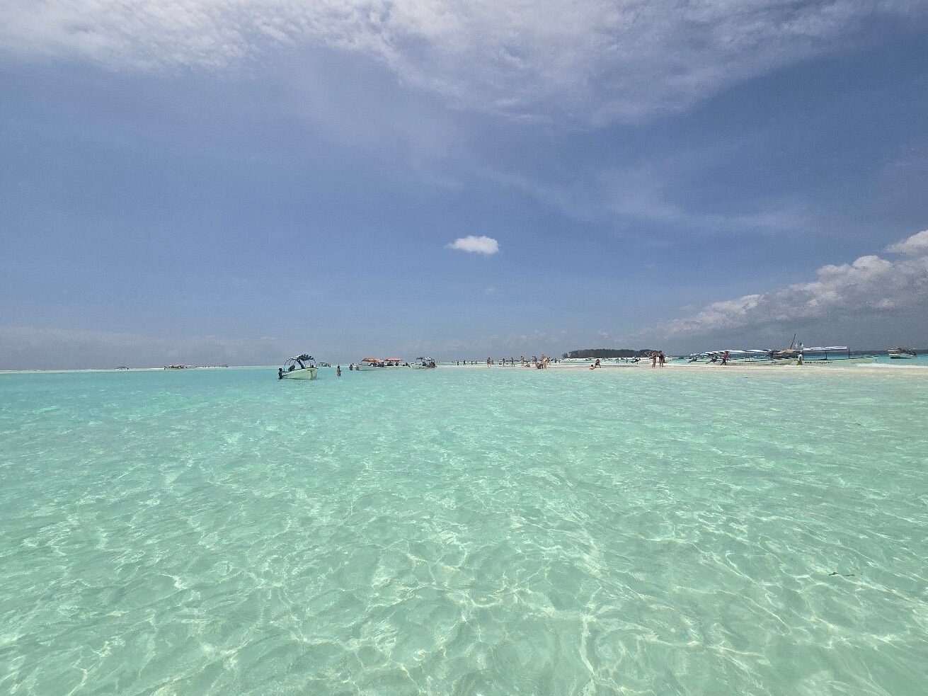 Mnemba Atoll Snorkeling & Dolphin Tour