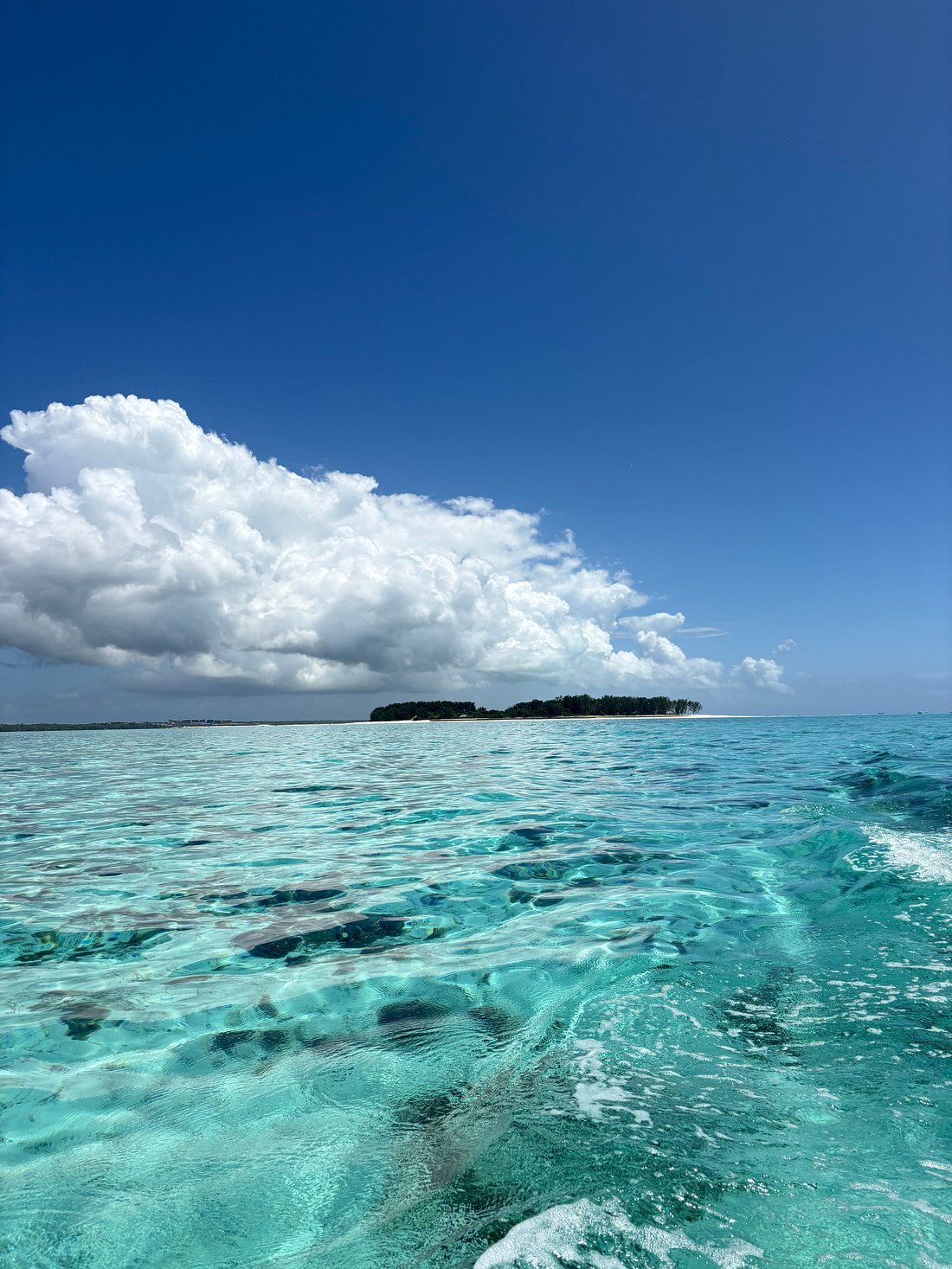 Mnemba Atoll Snorkeling & Dolphin Tour