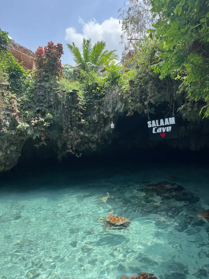 Salaam Cave Swimming Experience One Hour