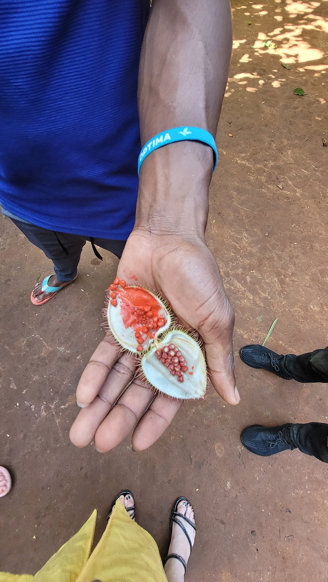 Spice Farm, Stone Town & Prison Island Tour